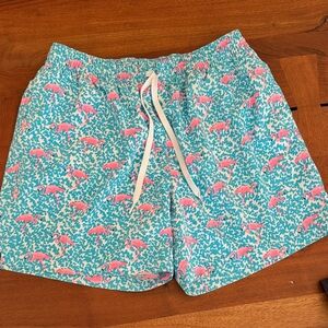 CHUBBIES Men's Flamingo Swim Shorts